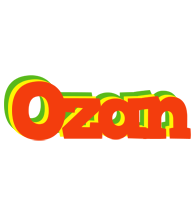 Ozan bbq logo