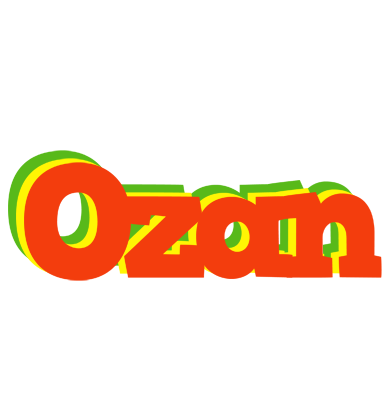 Ozan bbq logo