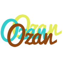 Ozan cupcake logo