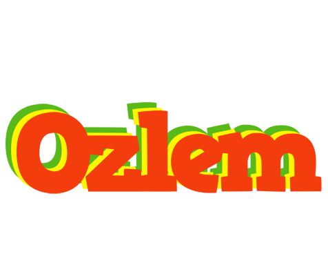 Ozlem bbq logo
