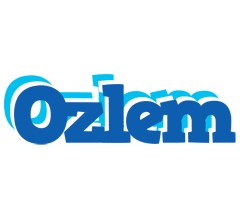 Ozlem business logo