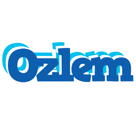Ozlem business logo