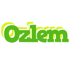 Ozlem picnic logo