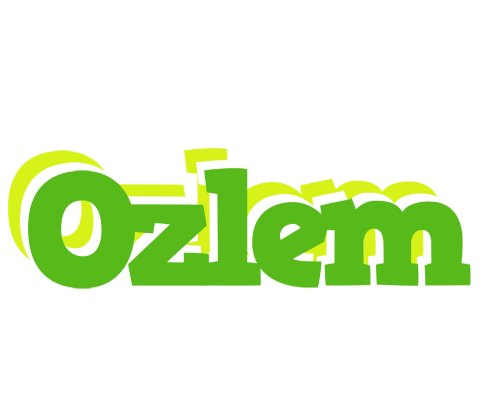 Ozlem picnic logo
