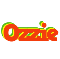 Ozzie bbq logo