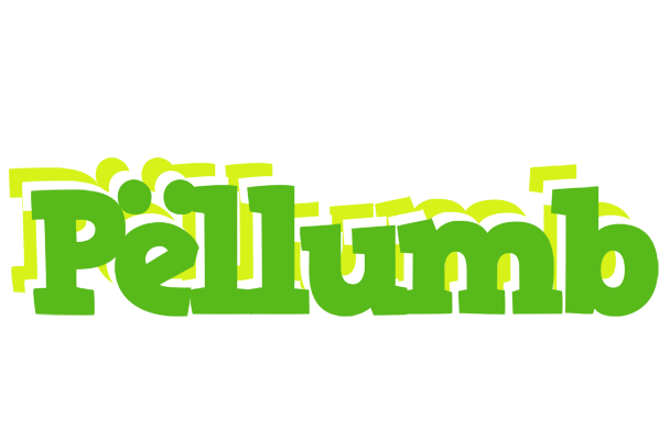 Pëllumb picnic logo