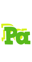 Pa picnic logo