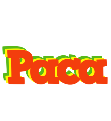 Paca bbq logo