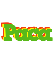 Paca crocodile logo