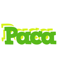 Paca picnic logo