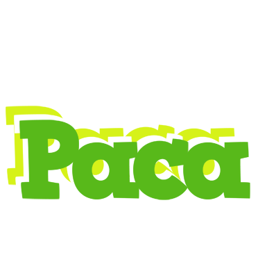 Paca picnic logo