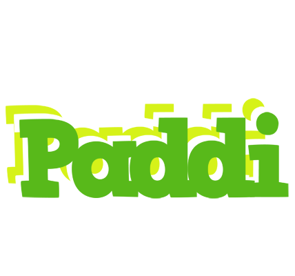 Paddi picnic logo