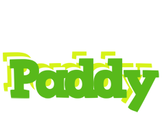 Paddy picnic logo