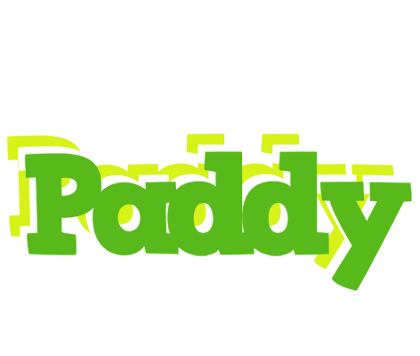 Paddy picnic logo
