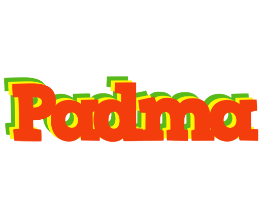 Padma bbq logo