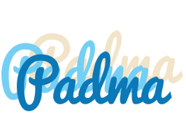 Padma breeze logo