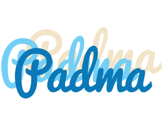 Padma breeze logo