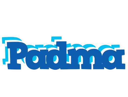 Padma business logo