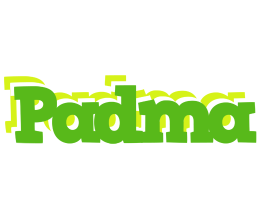 Padma picnic logo