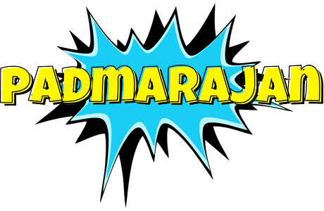 Padmarajan amazing logo