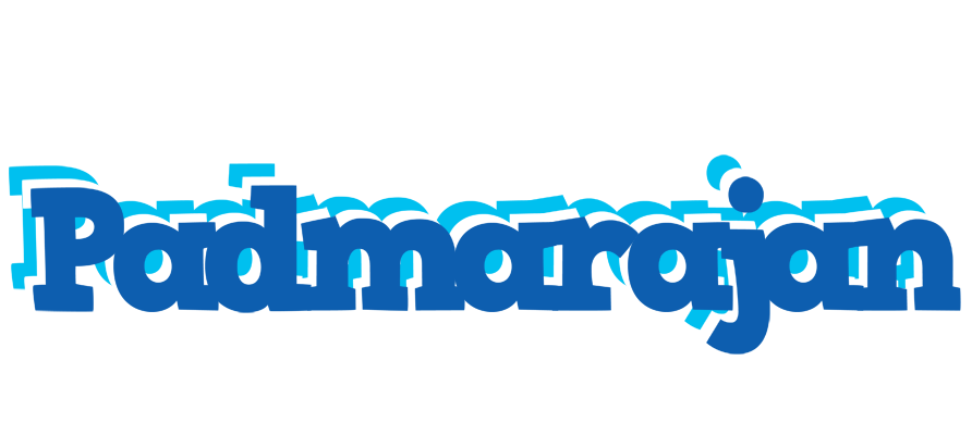 Padmarajan business logo
