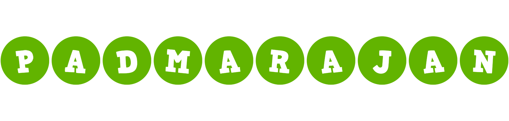 Padmarajan games logo