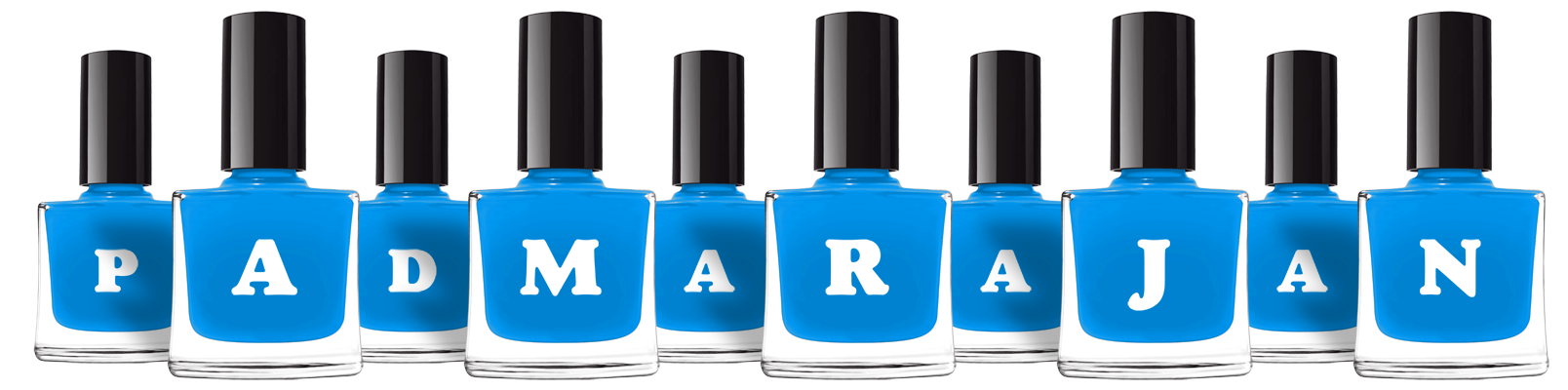 Padmarajan glossy logo