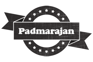 Padmarajan grunge logo