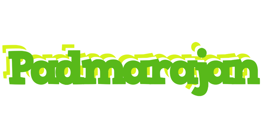 Padmarajan picnic logo