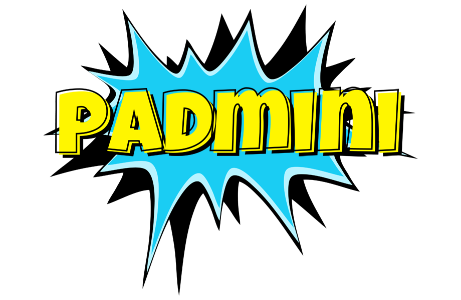 Padmini amazing logo
