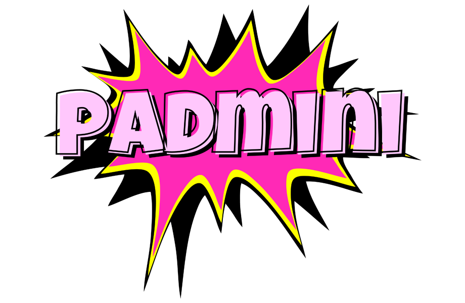 Padmini badabing logo