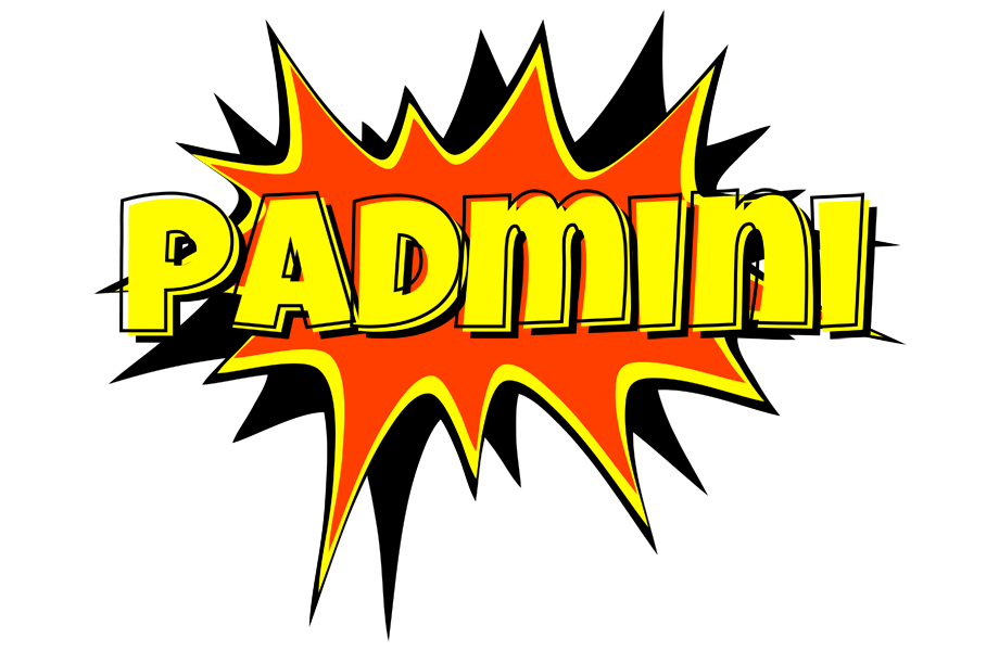Padmini bazinga logo