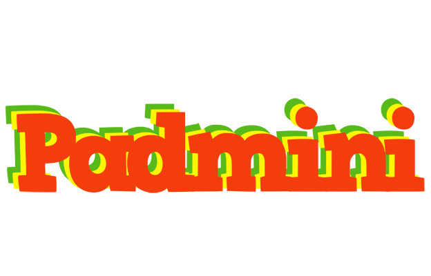 Padmini bbq logo