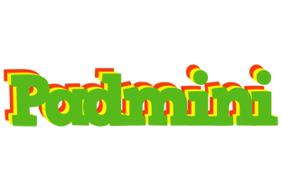 Padmini crocodile logo