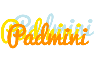 Padmini energy logo