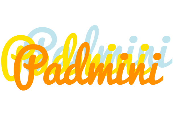 Padmini energy logo