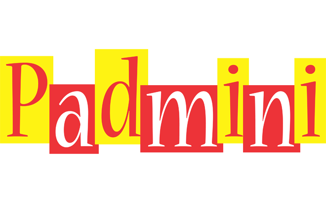 Padmini errors logo