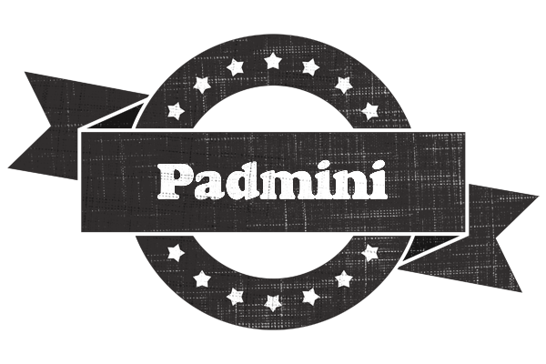 Padmini grunge logo