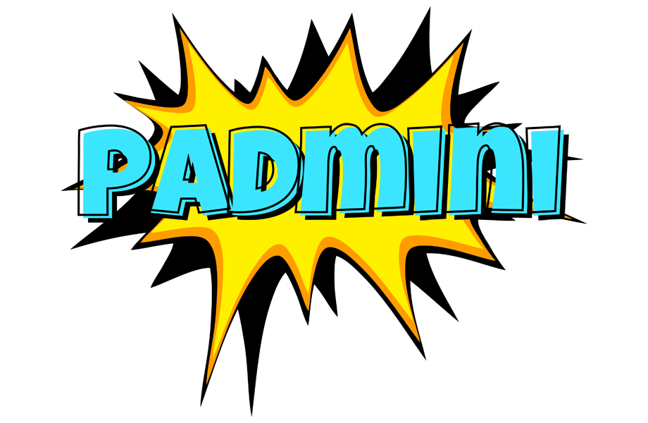 Padmini indycar logo