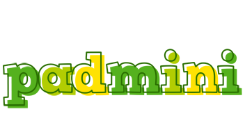 Padmini juice logo