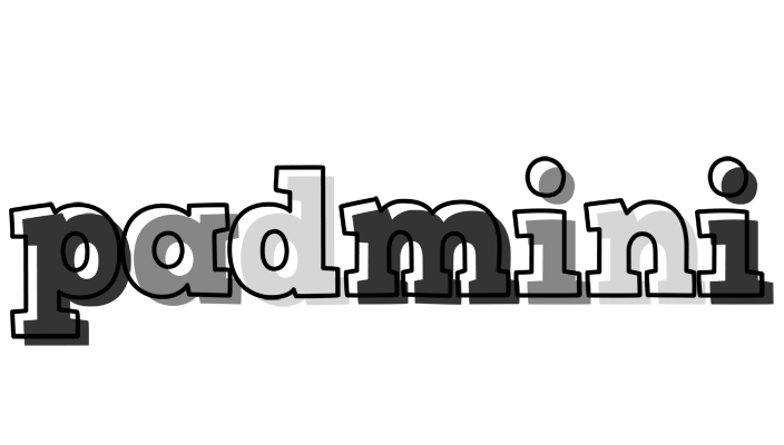 Padmini night logo