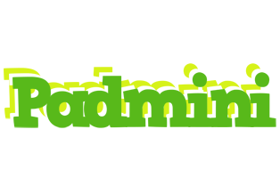 Padmini picnic logo