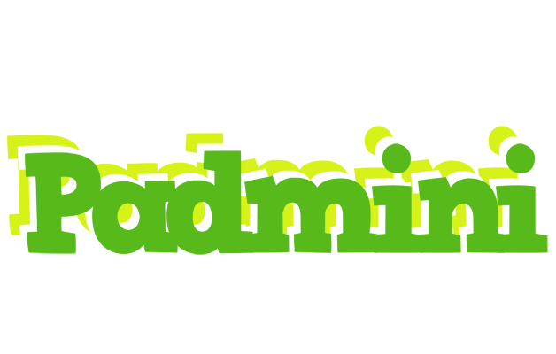 Padmini picnic logo