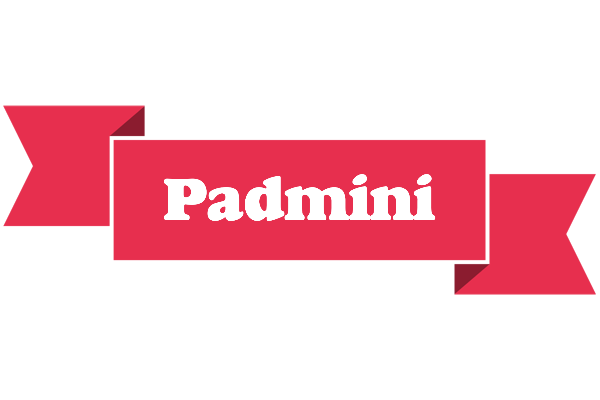 Padmini sale logo