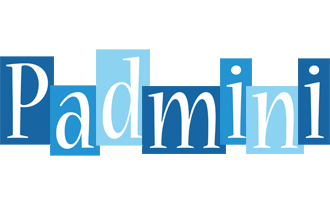 Padmini winter logo