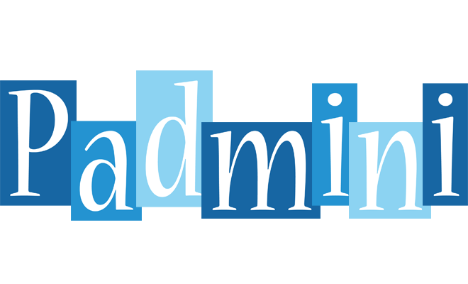 Padmini winter logo