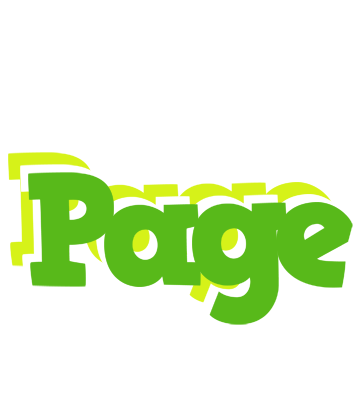 Page picnic logo