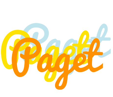 Paget energy logo
