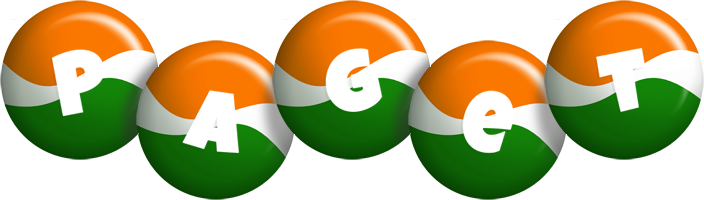 Paget india logo