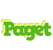 Paget picnic logo